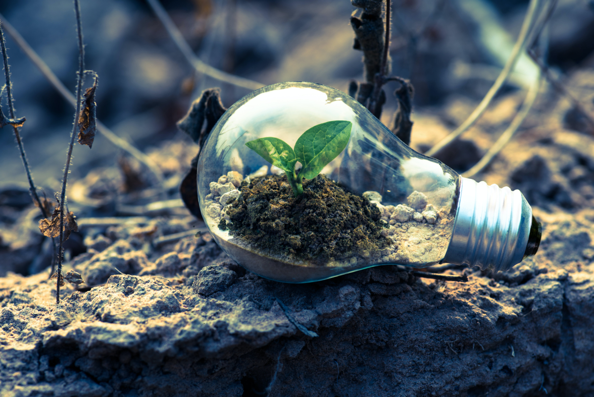 https://dev.cetyinc.com/wp-content/uploads/2023/11/green-energy.png