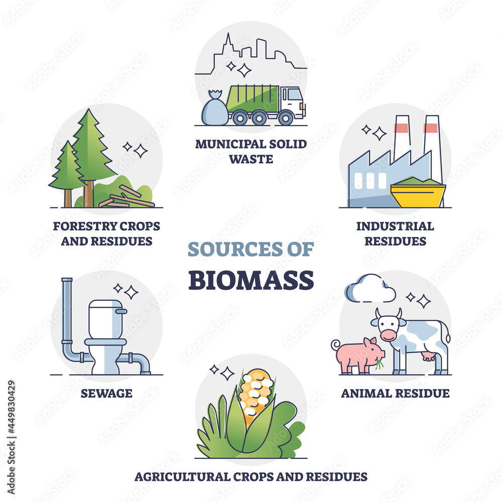 Biomass